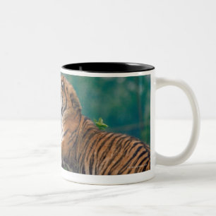 23899157 ZWEIFARBIGE TASSE
