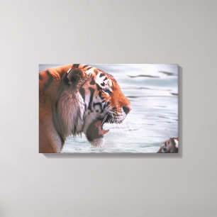 23899262 LEINWANDDRUCK