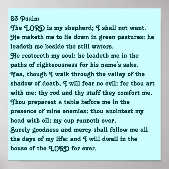 23 Psalm Poster (Vorne)