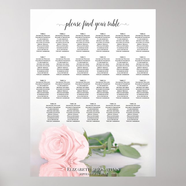 23 Tabelle Rosa Rosenblütendiagramm Poster (Vorne)