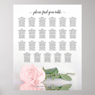 23 Tabelle Rosa Rosenblütendiagramm Poster