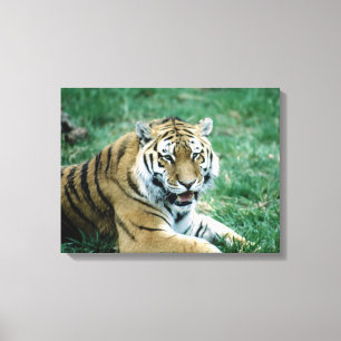 24103189 LEINWANDDRUCK