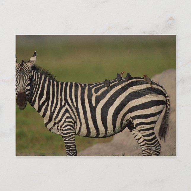 24109277 POSTKARTE (Vorderseite)