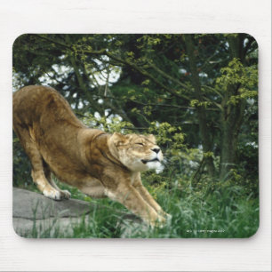 24114343 MOUSEPAD