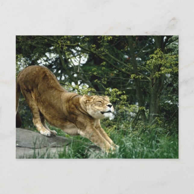 24114343 POSTKARTE (Vorderseite)