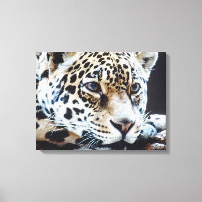 24114363 LEINWANDDRUCK (Vorderseite)