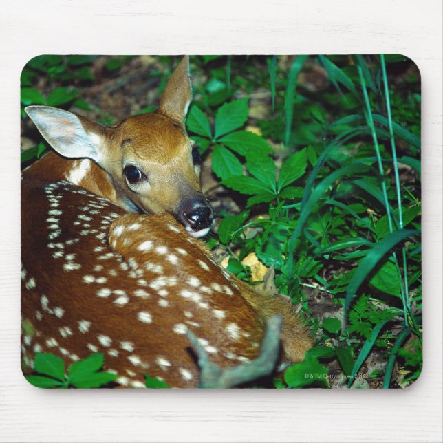 24114390 MOUSEPAD (Vorne)