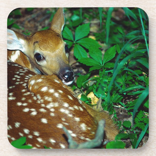 24114390 UNTERSETZER (Vorderseite)