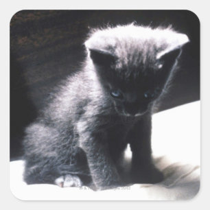 24117556 QUADRATISCHER AUFKLEBER