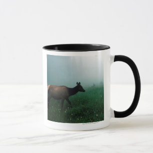 24121885 TASSE