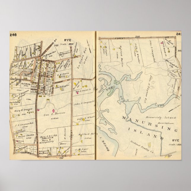 246247 Roggen Poster (Vorne)