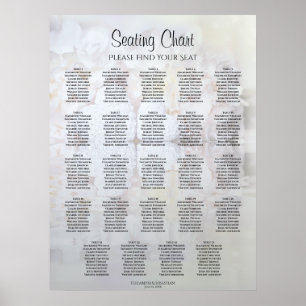 24 Tafelweiße Reflektionen Hochsitzdiagramm Poster