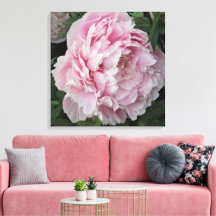 24"x24" Rosa Peony