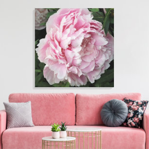 24"x24" Rosa Peony Leinwanddruck