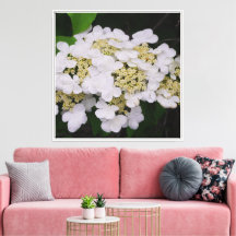 24"x24" Weißes Viburnum