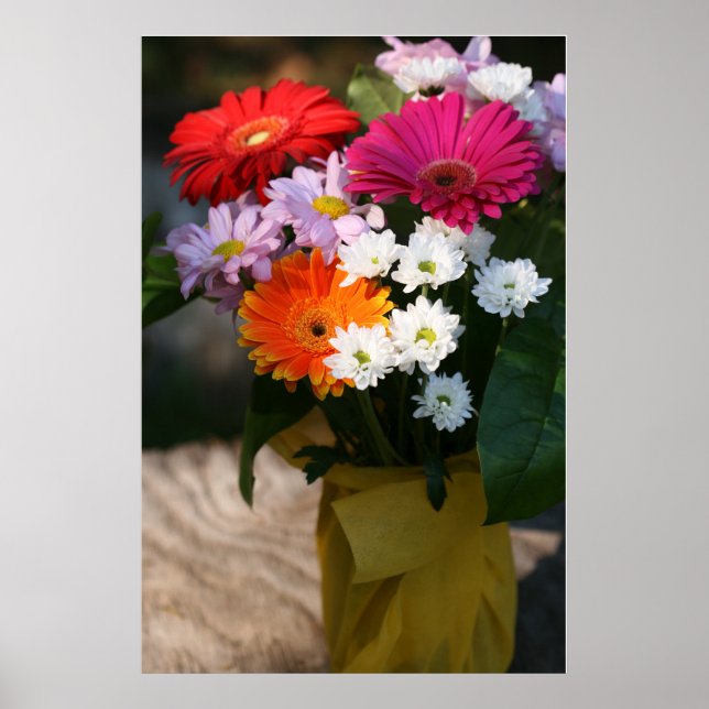 24" x 24", Value Poster Paper (Matte) (Vorne)