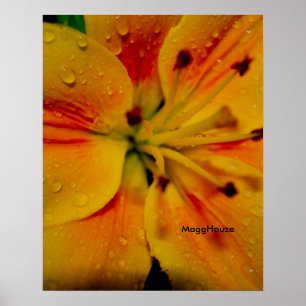24" x 24", Wert-Plakat-Papier (Matt) Poster