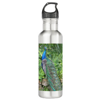 24oz Edelstahlflorida Pfau Wasserflasche Edelstahlflasche