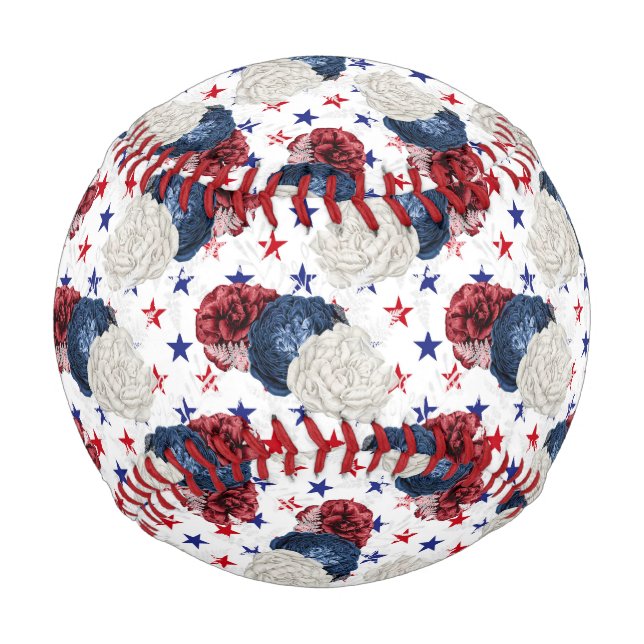 250 Jahre Wir, das Volk Baseball (Vorderseite)