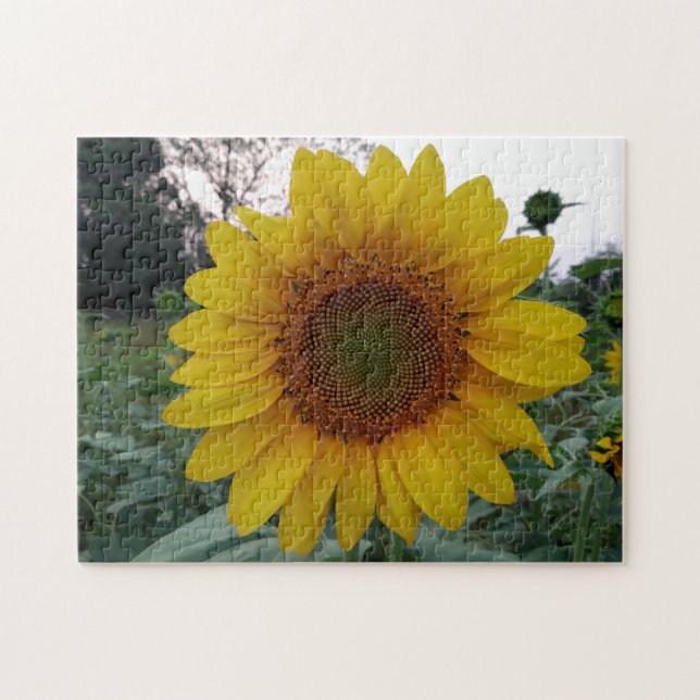 252-Teile-Puzzle mit einem auffälligen Sonnenblume Puzzle (Horizontal)