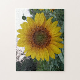 252-Teile-Puzzle mit einem auffälligen Sonnenblume Puzzle