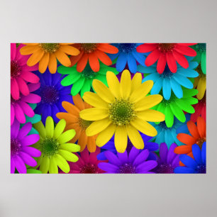 257153 HELLE, FARBHAFTE BLUME - HINTERGRUND P POSTER