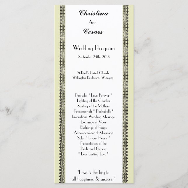 25 4x9 Hochzeitsprogramm Leichtes Grün/Graues form Programm (Vorderseite)