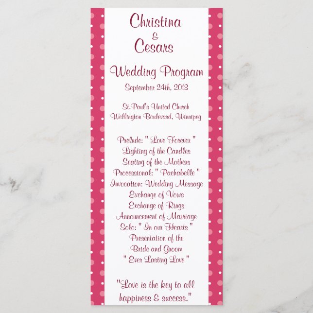 25 4x9 Hochzeitsprogramm Love Birds Rosa Streifen/ Programm (Vorderseite)