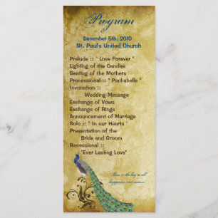 25 4x9 Hochzeitsprogramm Pfau Vintage Federn Programm