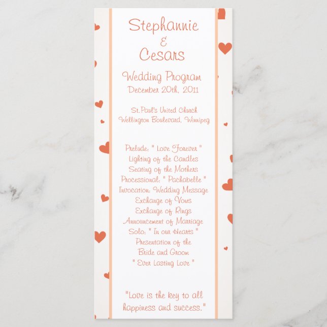 25 4x9 Hochzeitsprogramm Pinguin Liebe/Herz Peach Programm (Vorderseite)