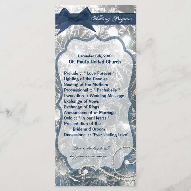 25 4x9 Hochzeitsprogramm Schmetterlinge Eisbrüche  Programm (Vorderseite)