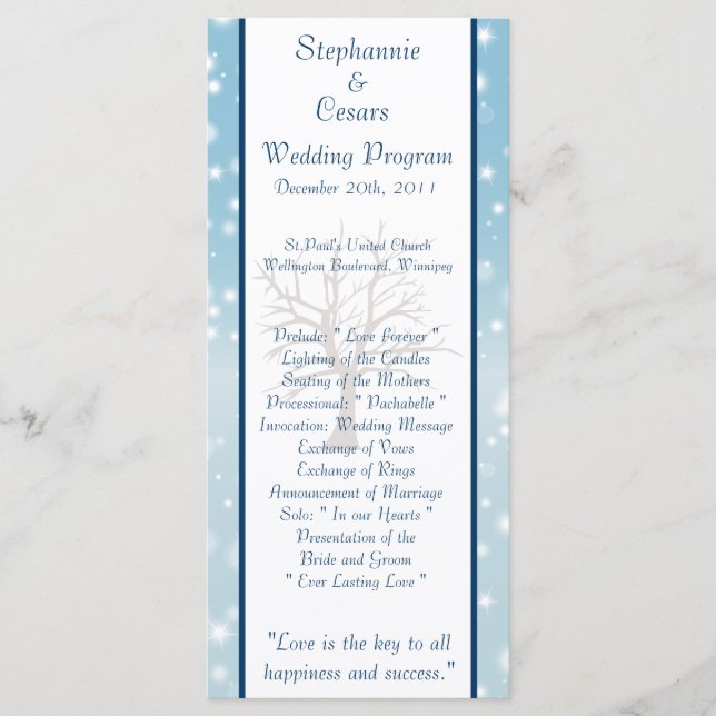 25 4x9 Hochzeitsprogramm Twinkling Snow / Bare Tre Programm (Vorderseite)