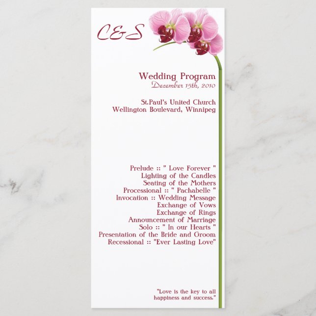 25 Lila Orchideen Hochzeitsprogramme Programm (Vorderseite)