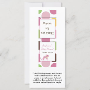 25 Mint Matchbooks Jungle Queen Tiger Safari Zoo