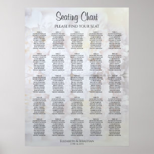 25 Tafelweiße Reflektionen Hochsitzdiagramm Poster