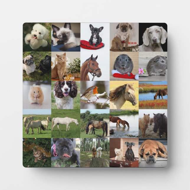 25xFoto Colage Plaque - JEDE Gelegenheit Fotoplatte (Vorderseite)