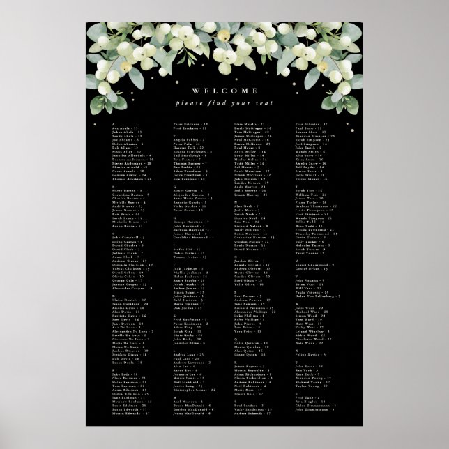 26 x 38" Alphabetische Sitzkarte für 250 Personen Poster (Vorne)