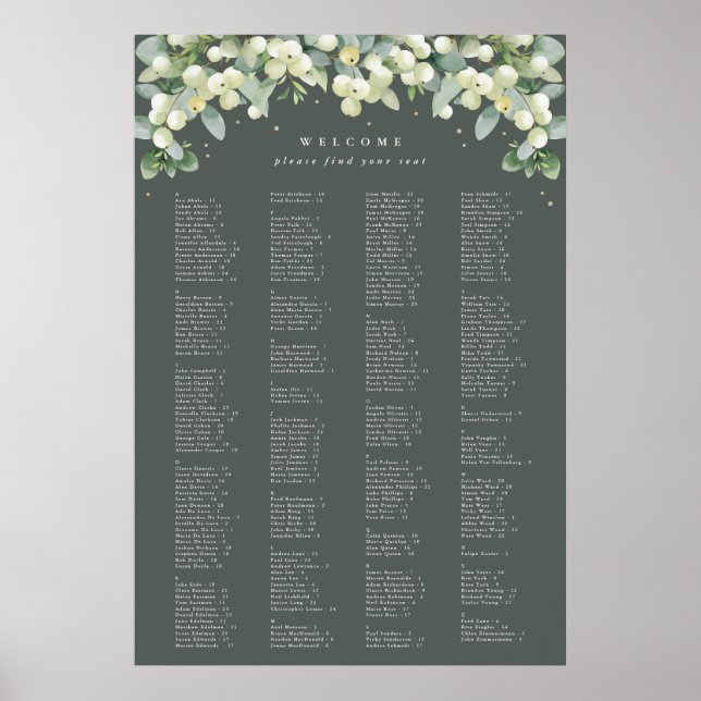 26 x 38" Alphabetische Sitzkarte für 250 Personen Poster (Vorne)