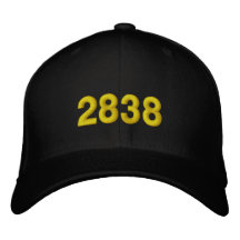 2838
