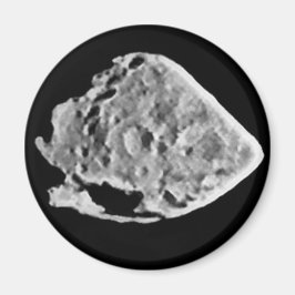 2867 Steine (1969 VC) Magnet