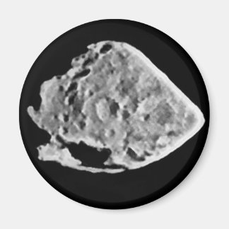 2867 Steine (1969 VC) Magnet