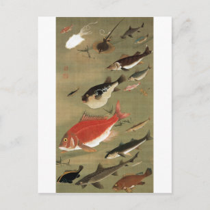 28. 群 魚 図, 若 verschiedene Fische, Jakuchū, Japan A Postkarte