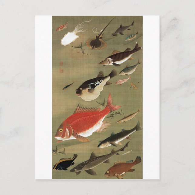 28. 群 魚 図, 若 verschiedene Fische, Jakuchū, Japan A Postkarte (Vorderseite)