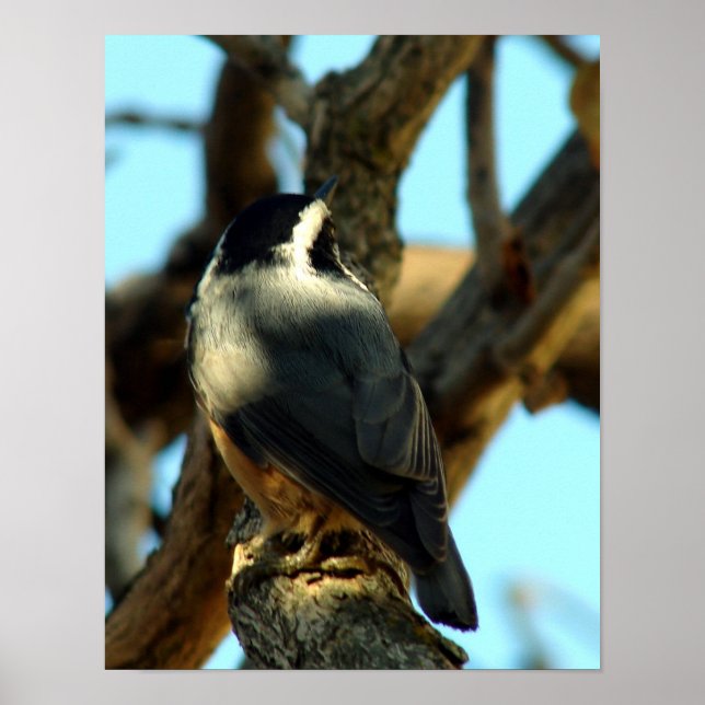 28.10.07 POSTER (Vorne)