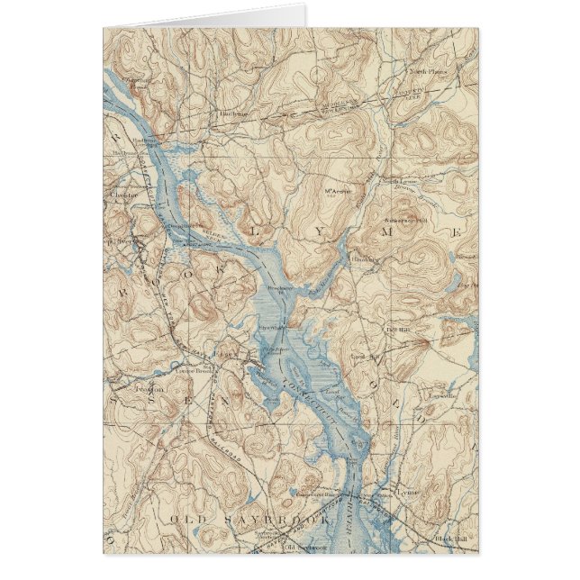 28 Saybrook-Blatt (Vorne)