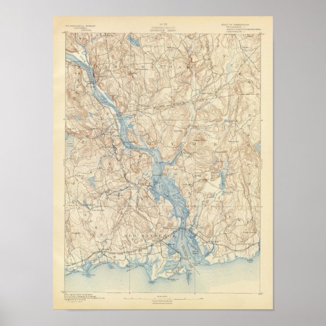 28 Saybrook-Blatt Poster (Vorne)