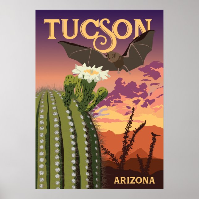 28"x20" Bat and Saguaro - Tucson, Arizona Poster (Vorne)