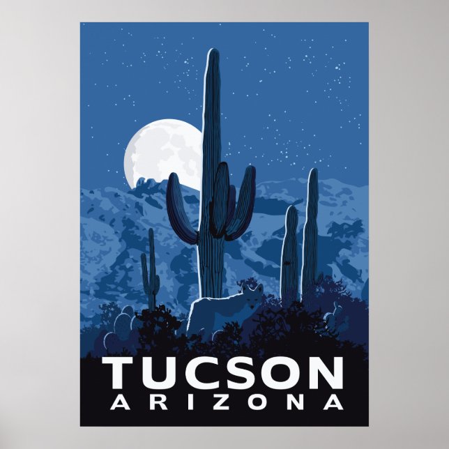 28"x20" Wüstencoyote - Tucson, Arizona Poster (Vorne)