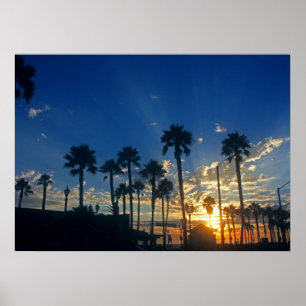 28" x 20", Value Poster Paper (Matte)