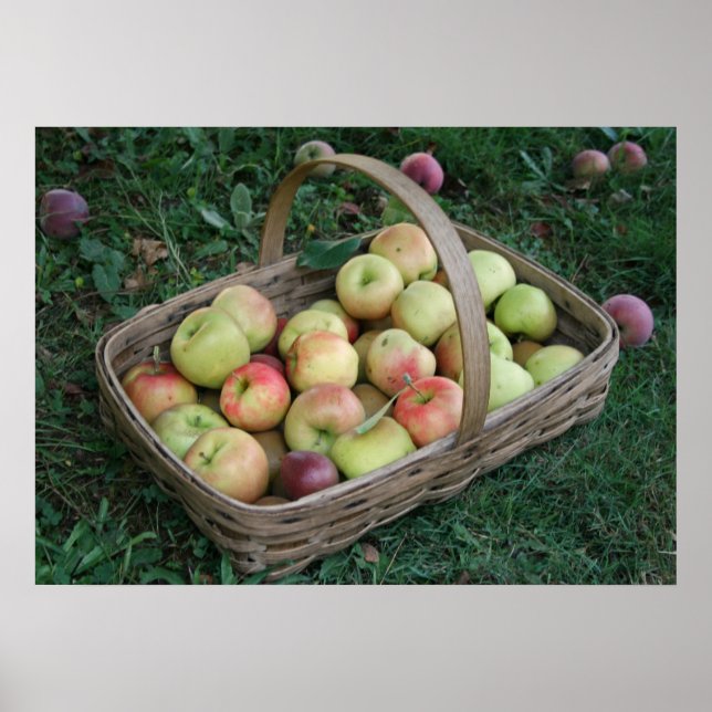 28" x 20", Value Poster Paper (Matte) (Vorne)
